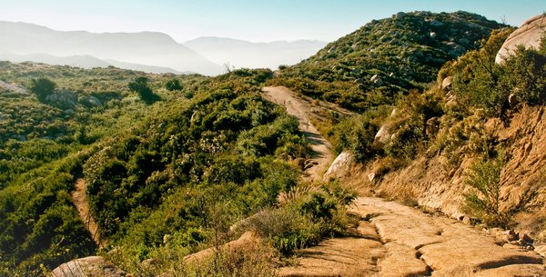 Running and Biking Trails in San Diego | Military Town Advisor