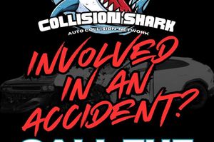 Collision Shark